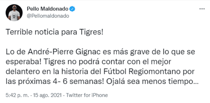 Pello Maldonado en Tigres UANL
