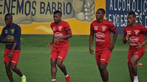 Angulo es citado por Ecuador para las eliminatorias Conmebol