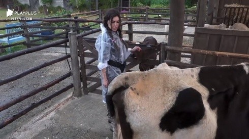 Liziane conversa com MC Gui durante trato com a vaca