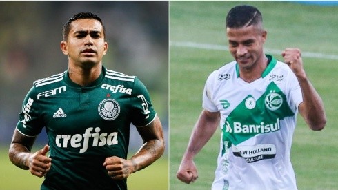 Palmeiras e Juventude se enfrentam neste domingo (Foto: Getty Images e Luiz Erbes/AGIF)