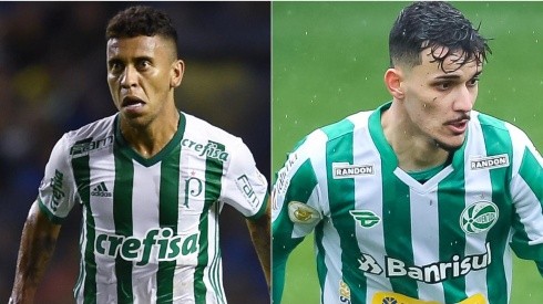 Palmeiras e Juventude se enfrentam neste domingo (Foto: Getty Images e Pedro H. Tesch/AGIF)