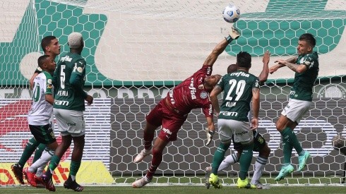 América-MG x Palmeiras; prognósticos do jogo da 24ª rodada (Foto: Cesar Greco/Palmeiras)