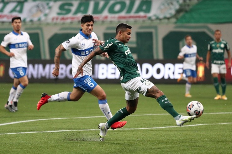 Universidad Católica Palmeiras
