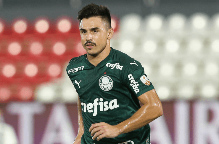 Willian chegou ao Palmeiras em 2017 (Foto: site oficial do Palmeiras)