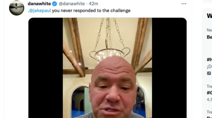 Dana White, UFC President, Twitter