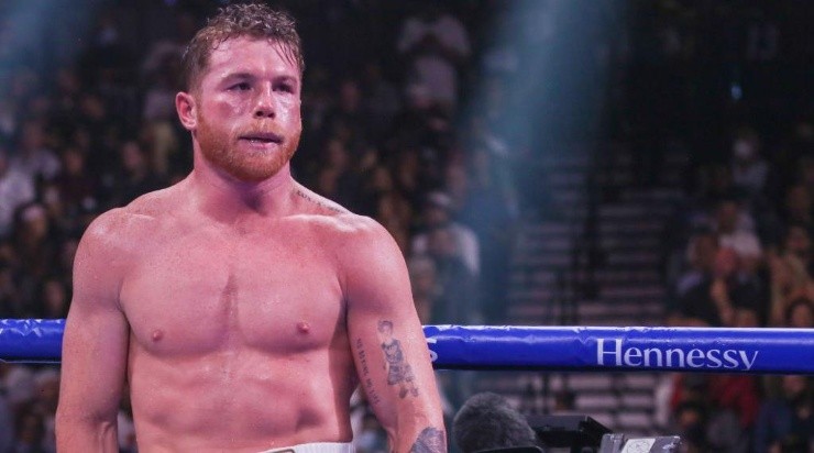 Canelo Alvarez, Boxing