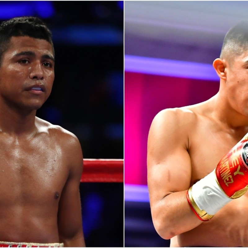 Roman Gonzalez vs Julio Cesar Martinez: Date, Time and TV Channel in the US for this boxing fight