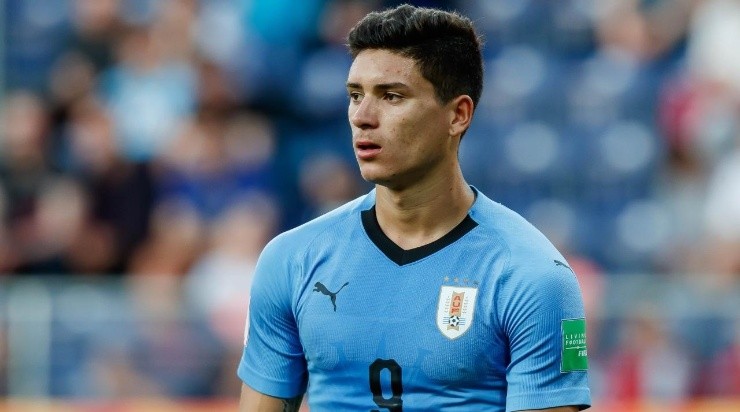 Darwin Núñez (Photo by TF-Images/Getty Images)