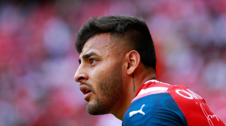 Jam Media / Alexis Vega