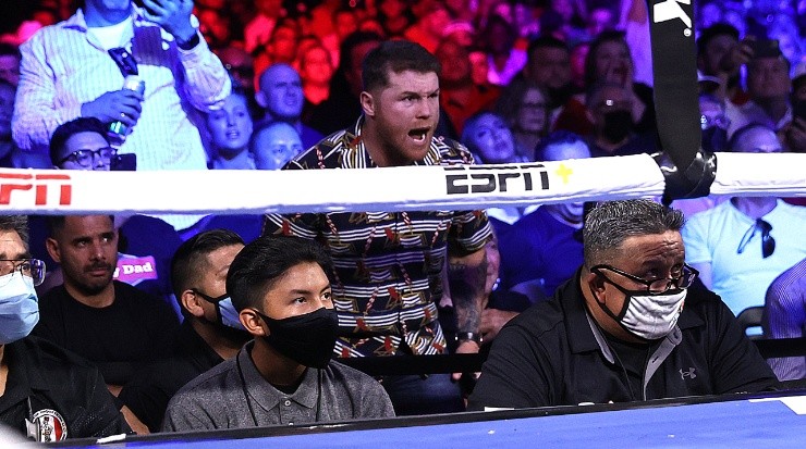 Canelo Alvarez, Boxing