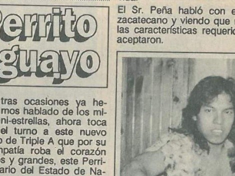 Perrito Aguayo, la versión mini del legendario Perro Aguayo