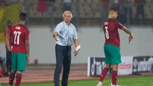 La selección de Marruecos considera la salida de Vahid Halilhodzic