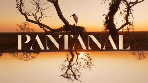 Alanis Guillen, a Juma de Pantanal, renovou contrato com a emissora