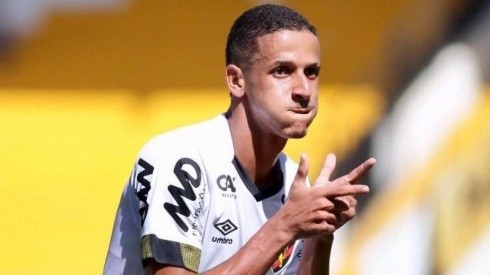 FOTO: Anderson Stevens/Sport Club do Recife - Luciano Juba já soma 9 gols e 6 assistências pelo Sport e desperta olhares do exterior
