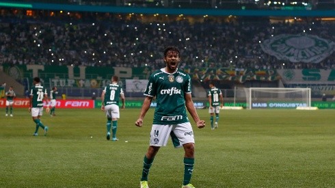 Palmeiras en su último partido por el Brasileirao.