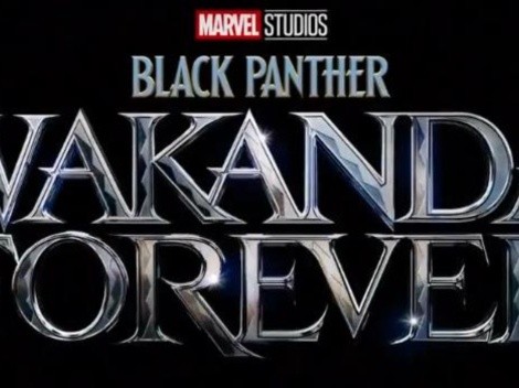 'Black Panther: Wakanda Forever': Release date, cast and plot