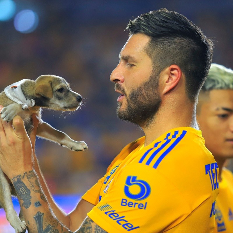 ¡Súper detalle de Gignac para una aficionada de 100 años!