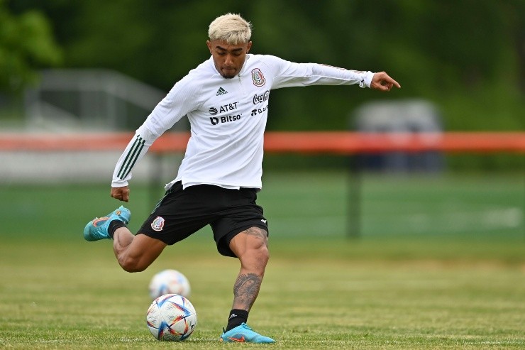 Julián Araujo México