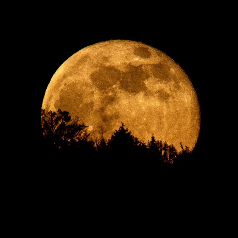 Superluna de Esturión 2022: cómo ver el evento astronómico de agosto