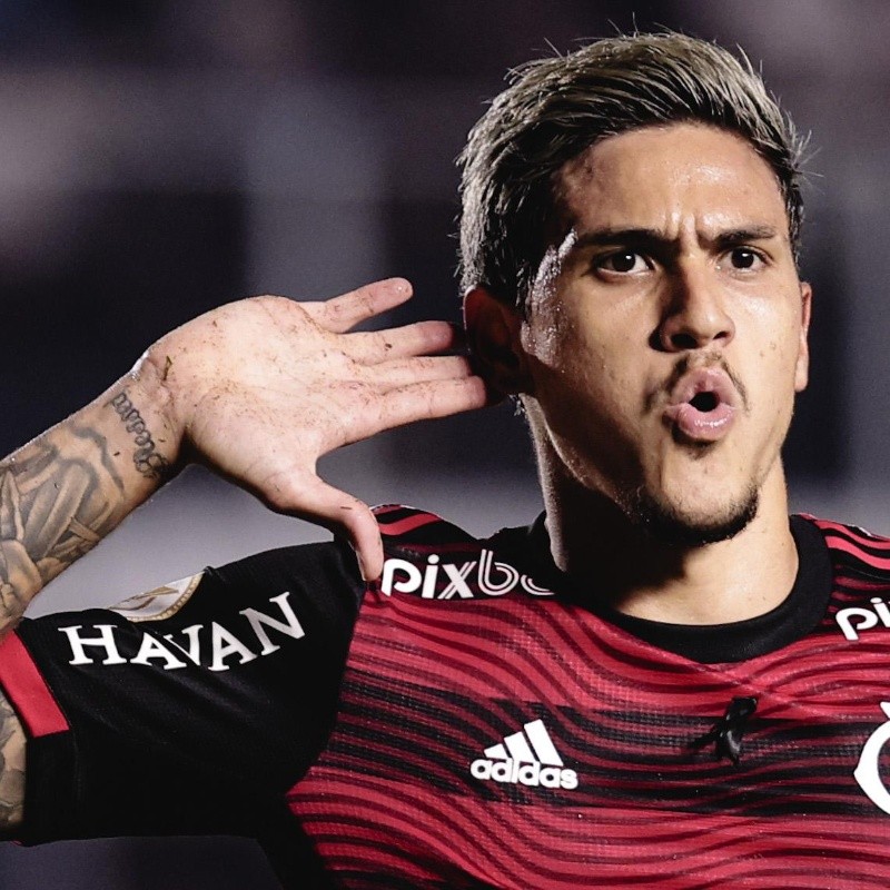 Pedro surpreendeu o Flamengo e DECIDE onde quer jogar e agora não tem mais  volta - Bolavip Brasil