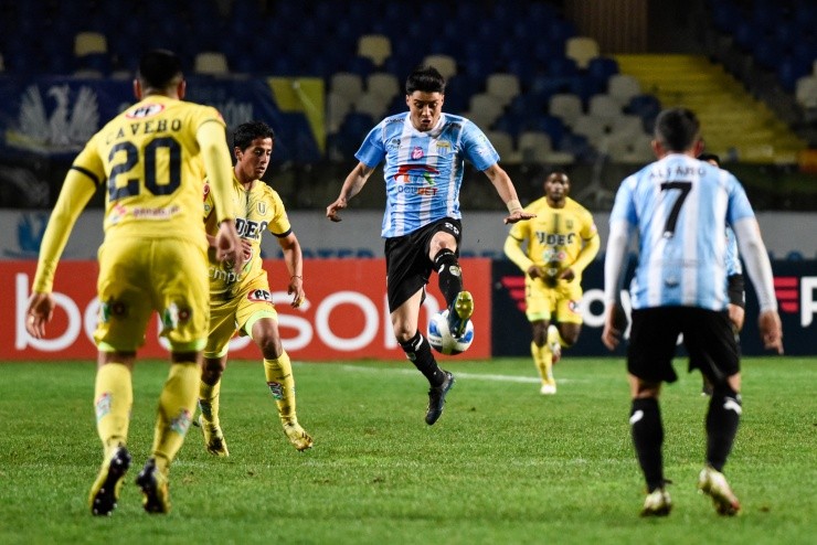 Magallanes Universidad de Concepción