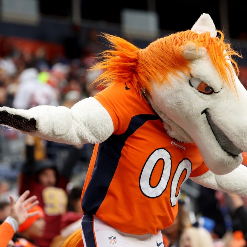 Miles, the Denver Broncos mascot, watches the Broncos play the