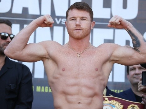 Canelo Alvarez's profile: Age, height, weight, wife, parents, boxing record and net worth