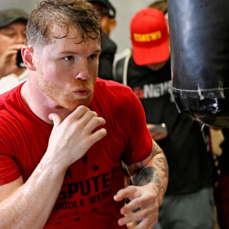 Canelo sorprendió al analizar si Golovkin será beneficiado en las 168 libras