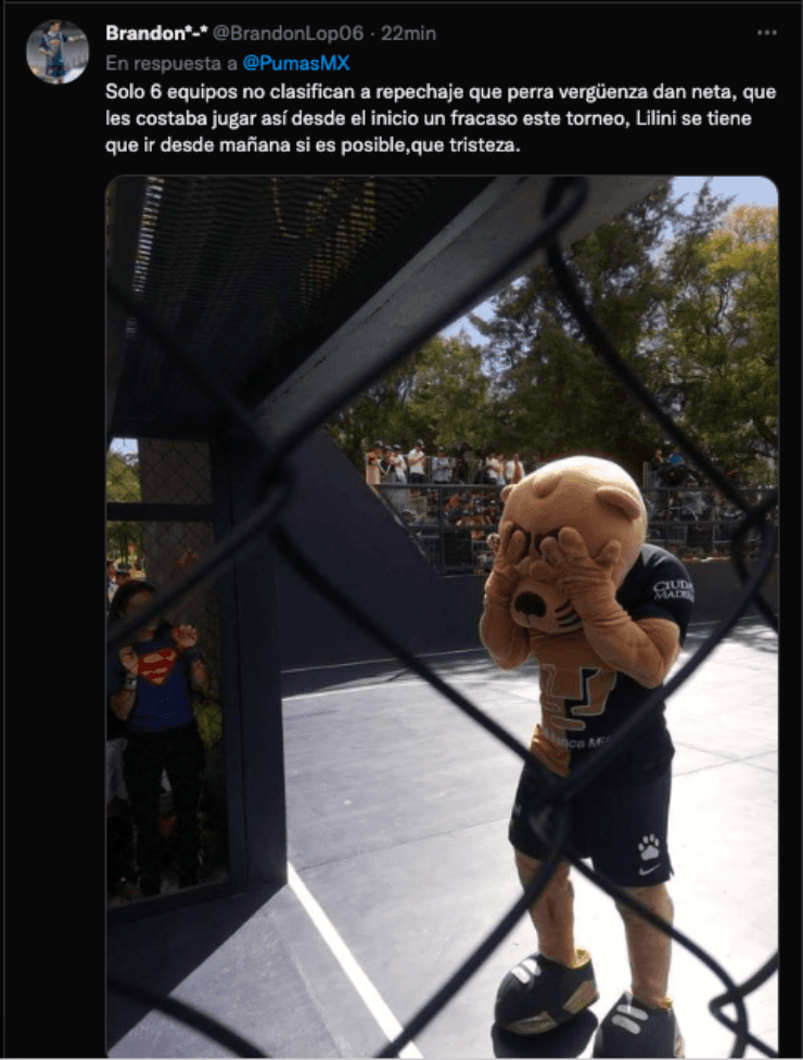 Memes Pumas vs Cruz Azul | Twitter