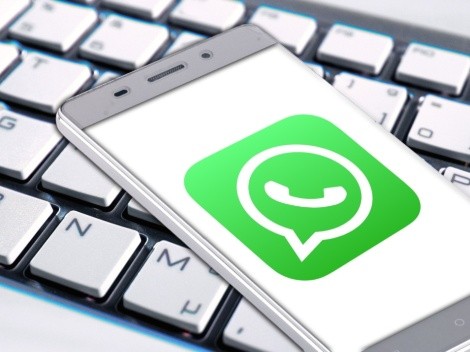 WhatsApp se tornará incompatível com alguns modelos Android; Confira a lista 