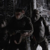 EL Planeta de los Simios: la nueva película comenzó a filmarse