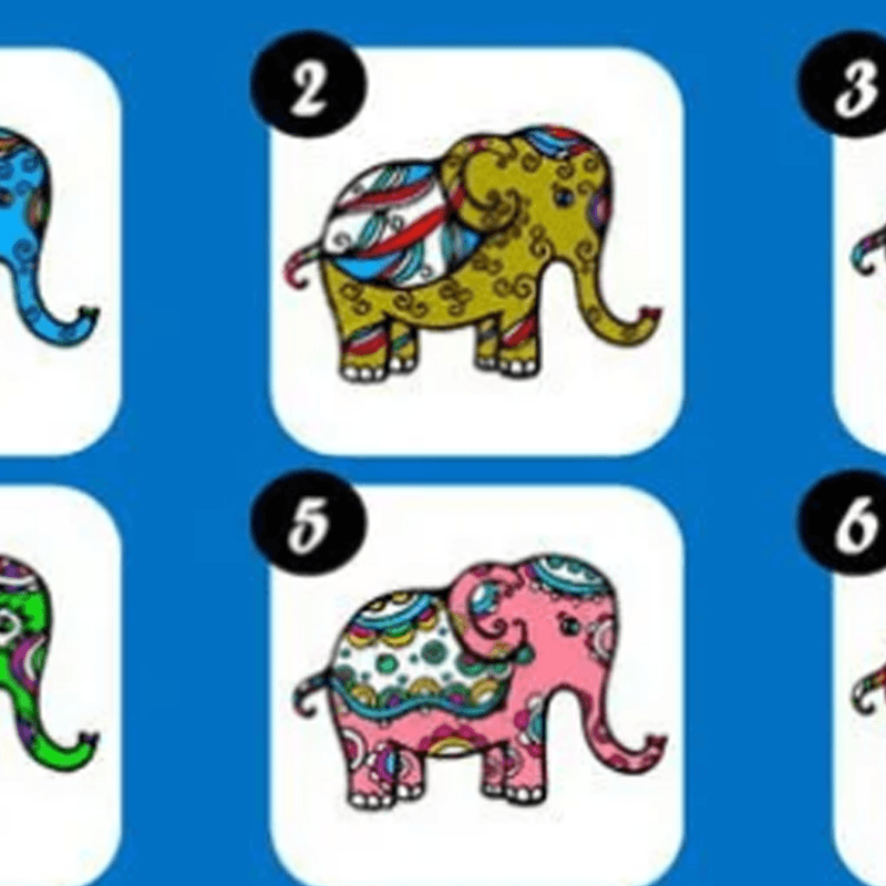 Test de personalidad: elige un elefante y averigua lo que pasará en el futuro