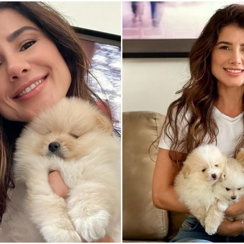 Paula Fernandes adota filhote de cachorro e brinca que será 'avó'