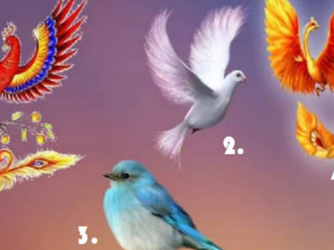 Test de personalidad: elige un ave y descubre si eres una persona independiente