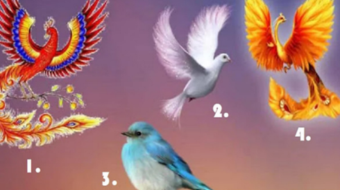 Test de personalidad: elige un ave y descubre si eres una persona independiente