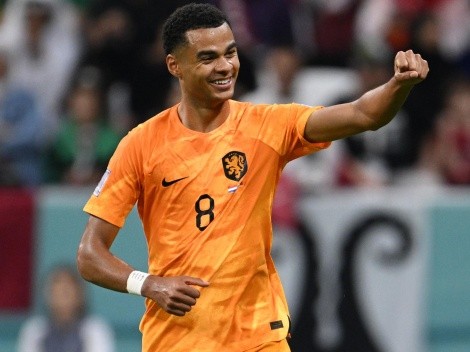 Países Bajos derrotó a Qatar y se clasificó en primer lugar