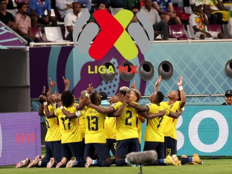 El buen papel de Ecuador en el Mundial con el aporte de la Liga MX