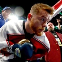 Los hinchas argentinos volvieron loco a Canelo tras el pedido de disculpas