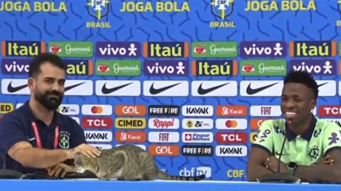 Un gato invadió la conferencia de prensa de Vinícius Jr en el Mundial de Qatar 2022