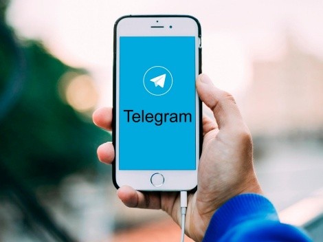 Telegram libera utilização do app sem número de telefone
