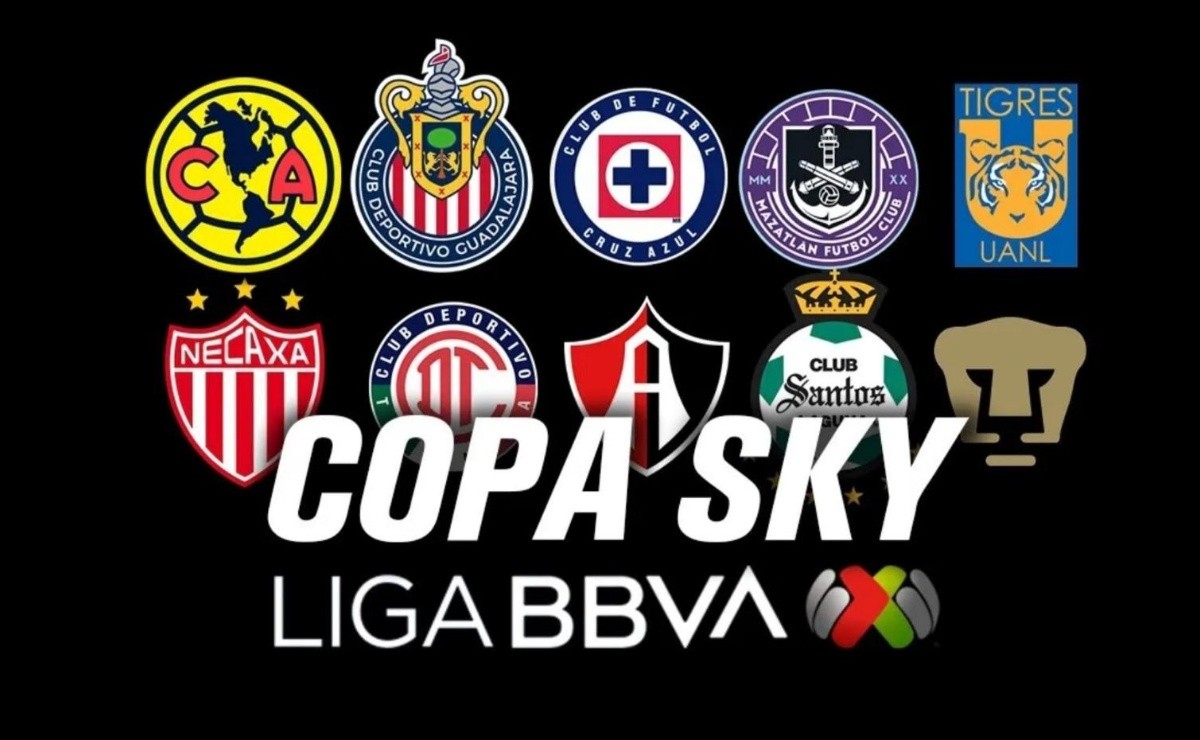 ¿Desde cuándo se juega la Copa SKY?