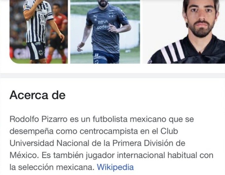 La información de Pizarro en su perfil de Wikipedia (captura web)