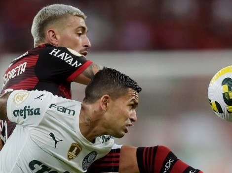 "75%"; Palmeiras e Flamengo dominam títulos recentes no Brasil: Relembre os campeões