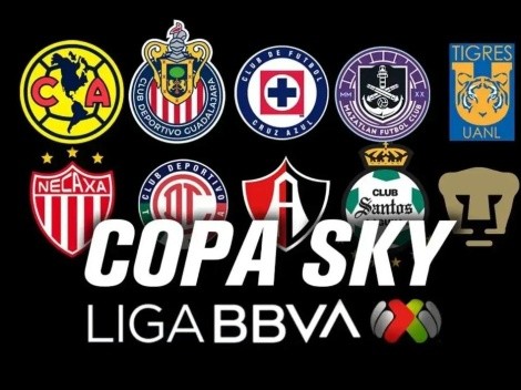 ¿La Copa Sky cuenta como título oficial para el campeón?