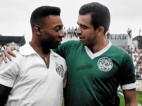 Palmeiras Campeão Mundial 1951 Pode Secar Mais O Palmeiras Tem