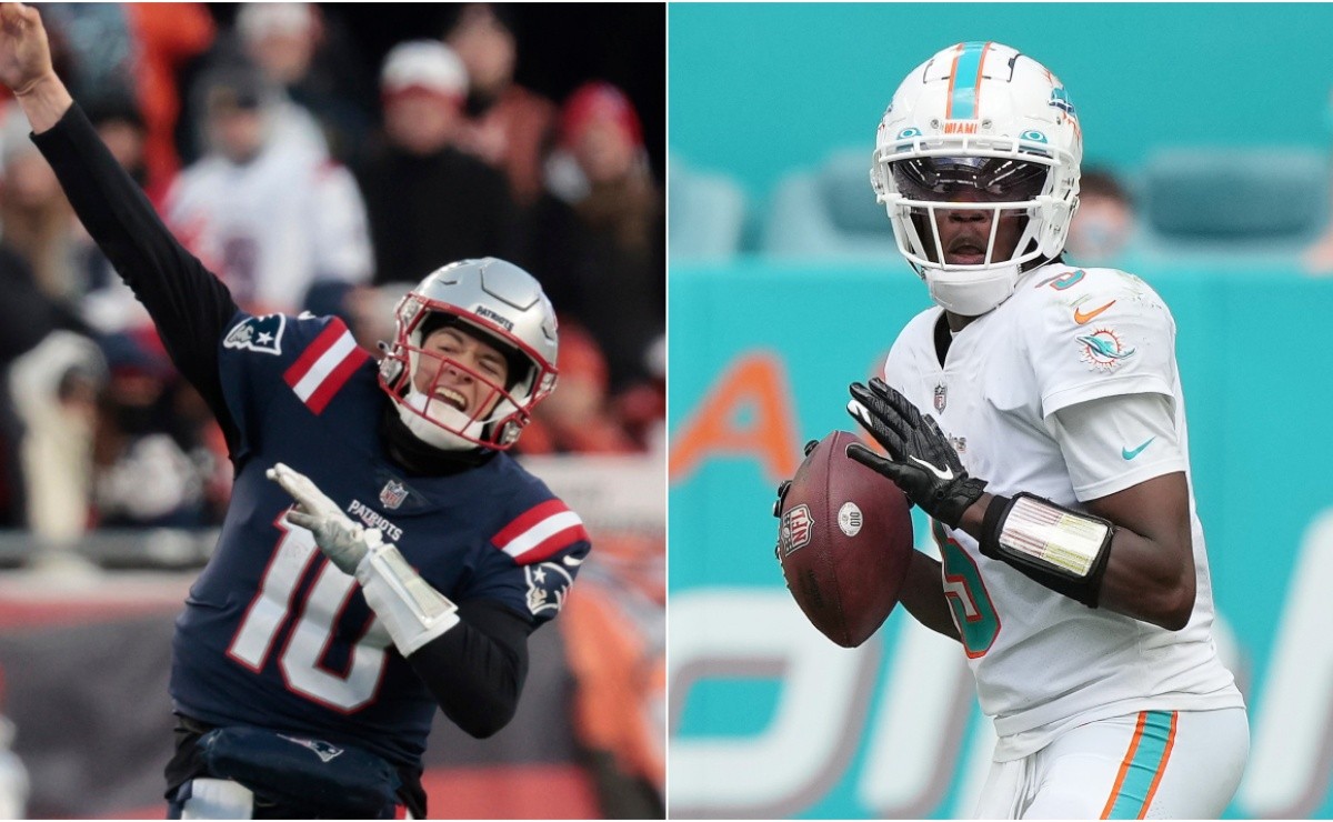 New England Patriots Vs. Miami Dolphins Live Stream: How To Watch NFL Week  17 For Free