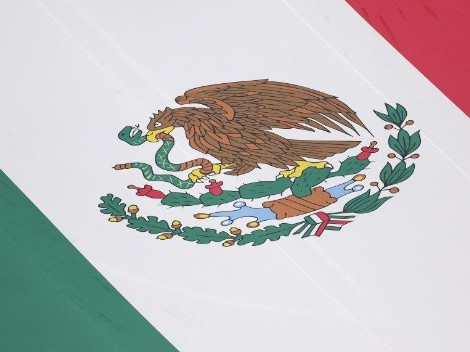 ¿Quiénes son los mejores pesos pluma de México?