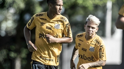 Ângelo e Soteldo com a camisa do Santos - Foto: Ivan Storti/Santos FC