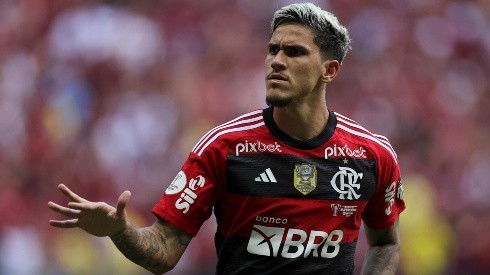 Pedro de Flamengo