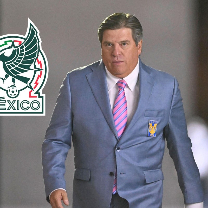 David Medrano reveló lo que todos los anti Miguel Herrera estaban esperando